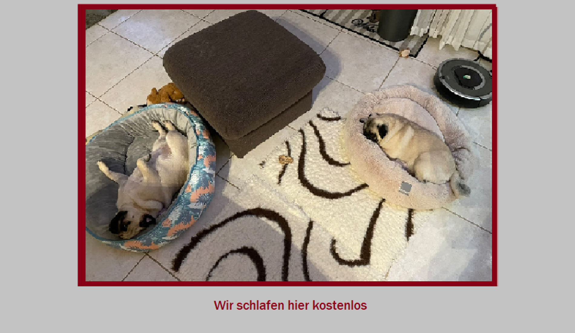 kostenlos.png2